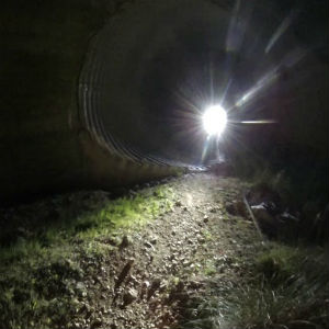 ruta nocturna